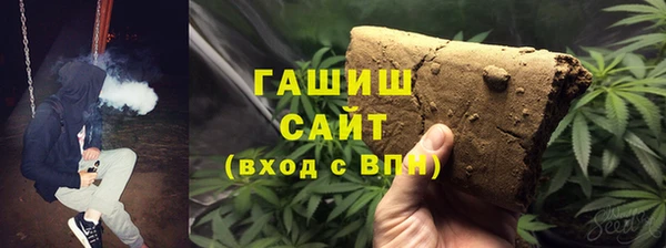прущие грибы Осташков