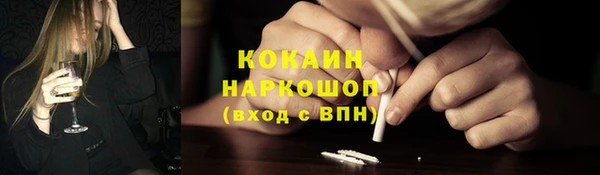 шишки Алексин