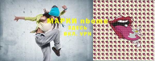 шишки Алексин