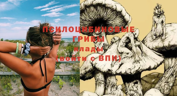 гидра Алексеевка