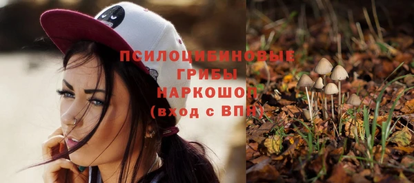 дмт Няндома