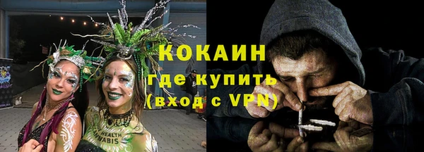 дмт Няндома