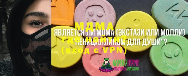шишки Алексин