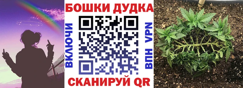Каннабис конопля блэк спрут Хадыженск как найти закладки